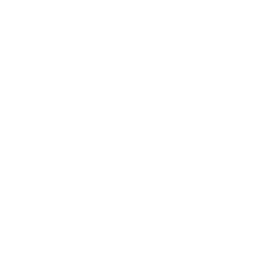 Local Expertise | WBS Global Support