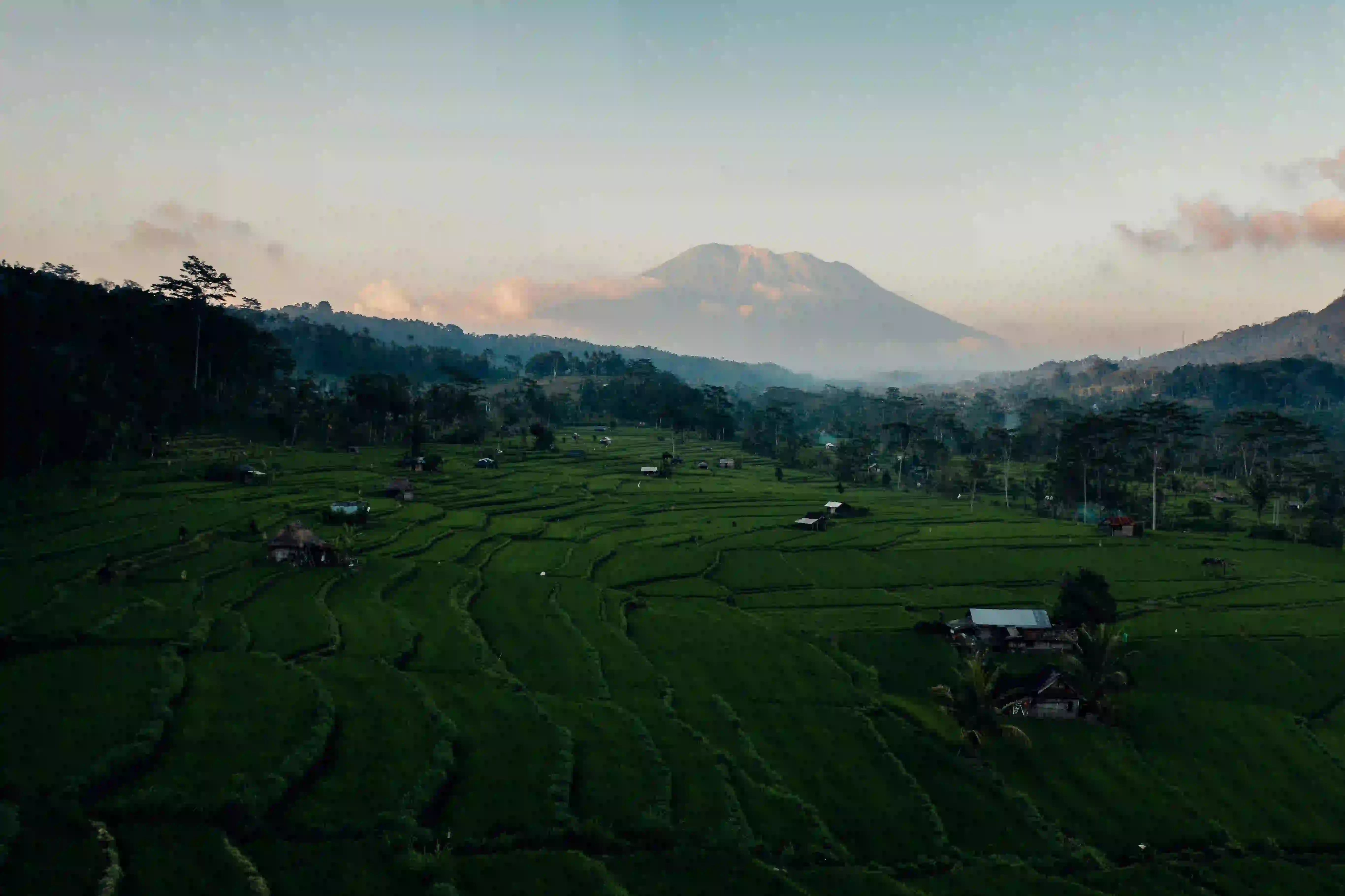 How to Navigate Business Compliance in Bali